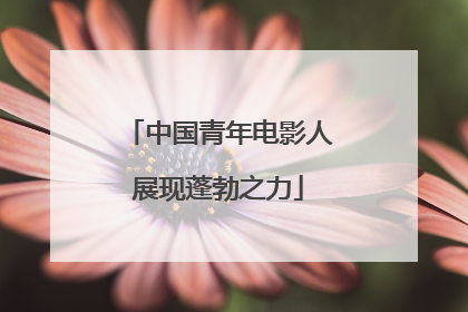 中国青年电影人展现蓬勃之力