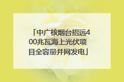 中广核烟台招远400兆瓦海上光伏项目全容量并网发电