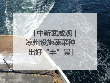 中新武威观｜凉州设施蔬菜种出好“丰”景