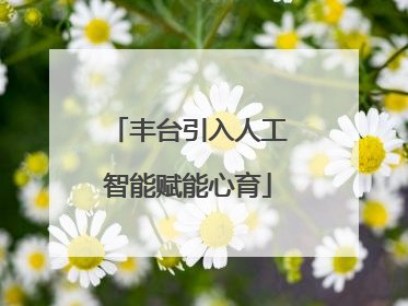 丰台引入人工智能赋能心育