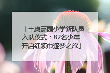 丰奥嘉园小学新队员入队仪式：82名少年开启红领巾逐梦之旅