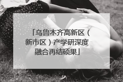 乌鲁木齐高新区（新市区）产学研深度融合再结硕果