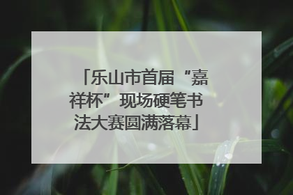 乐山市首届“嘉祥杯”现场硬笔书法大赛圆满落幕