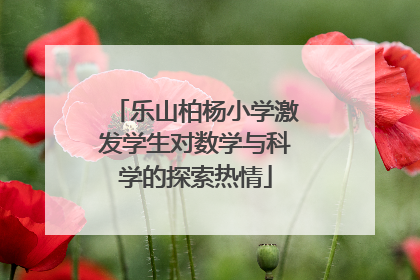 乐山柏杨小学激发学生对数学与科学的探索热情