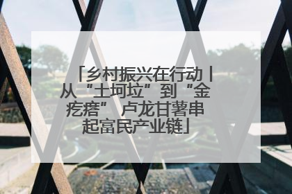 乡村振兴在行动丨从“土坷垃”到“金疙瘩” 卢龙甘薯串起富民产业链