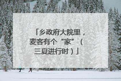 乡政府大院里，麦客有个“家”（三夏进行时）