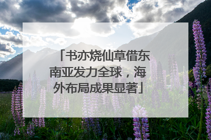 书亦烧仙草借东南亚发力全球，海外布局成果显著