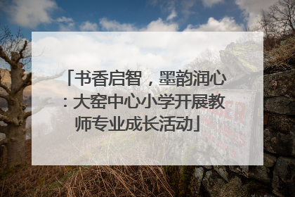 书香启智，墨韵润心：大窑中心小学开展教师专业成长活动