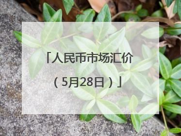 人民币市场汇价（5月28日）