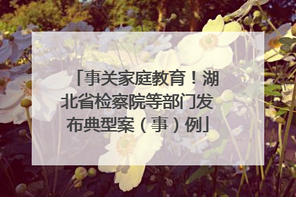 事关家庭教育！湖北省检察院等部门发布典型案（事）例