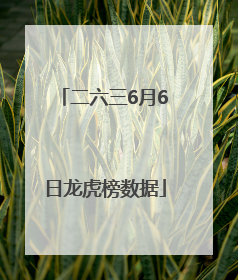 二六三6月6日龙虎榜数据