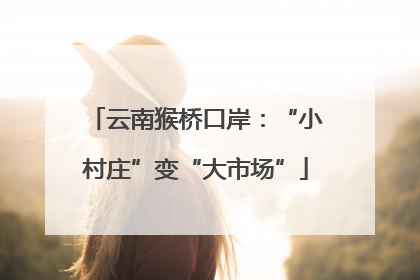 云南猴桥口岸：“小村庄”变“大市场”