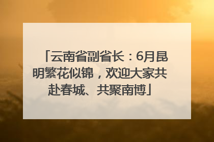 云南省副省长：6月昆明繁花似锦，欢迎大家共赴春城、共聚南博