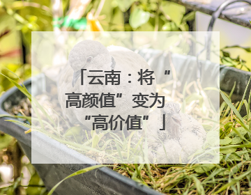 云南：将“高颜值”变为“高价值”