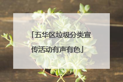 五华区垃圾分类宣传活动有声有色