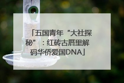 五国青年“大社探秘”：红砖古厝里解码华侨爱国DNA