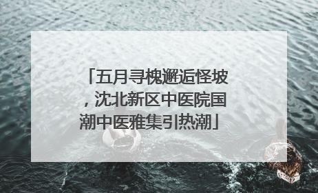 五月寻槐邂逅怪坡，沈北新区中医院国潮中医雅集引热潮