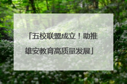五校联盟成立！助推雄安教育高质量发展