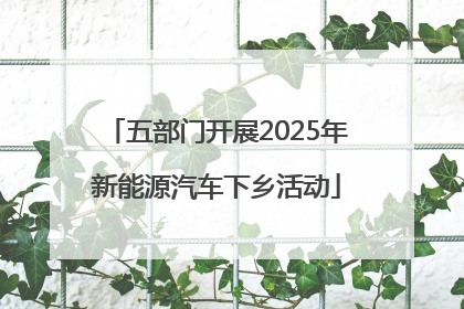 五部门开展2025年新能源汽车下乡活动
