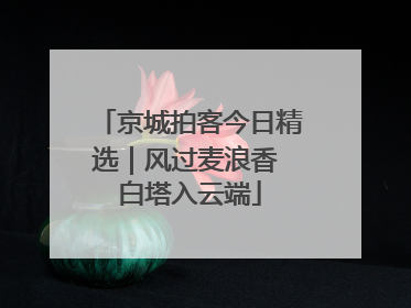 京城拍客今日精选｜风过麦浪香 白塔入云端