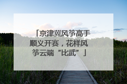 京津冀风筝高手顺义开赛，花样风筝云端“比武”