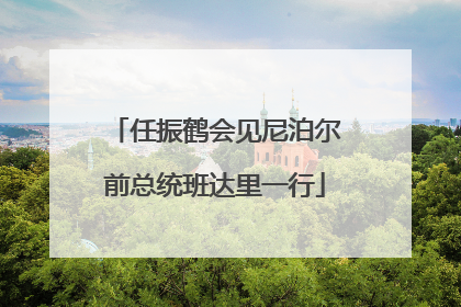 任振鹤会见尼泊尔前总统班达里一行