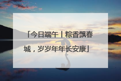 今日端午丨粽香飘春城，岁岁年年长安康