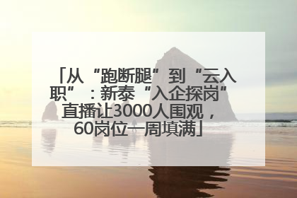 从“跑断腿”到“云入职”：新泰“入企探岗”直播让3000人围观，60岗位一周填满