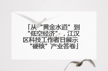 从“黄金水道”到“低空经济”，江汉区科技工作者日展示“硬核”产业答卷