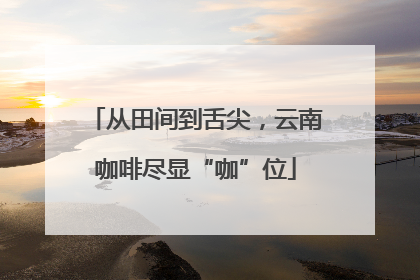 从田间到舌尖，云南咖啡尽显“咖”位