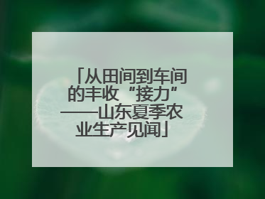 从田间到车间的丰收“接力”——山东夏季农业生产见闻