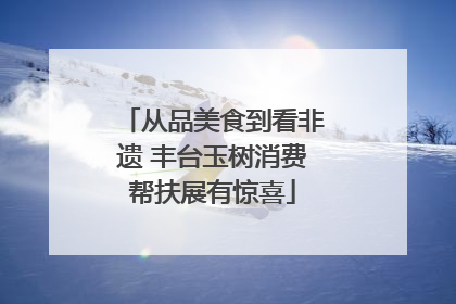 从品美食到看非遗 丰台玉树消费帮扶展有惊喜