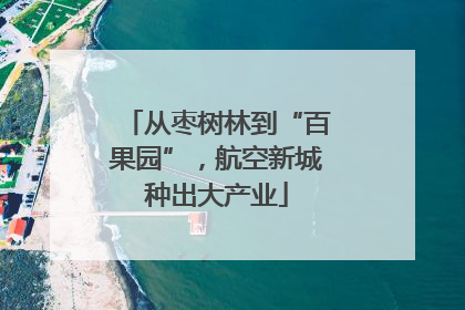 从枣树林到“百果园”，航空新城种出大产业