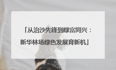 从治沙先锋到绿富同兴：新华林场绿色发展育新机