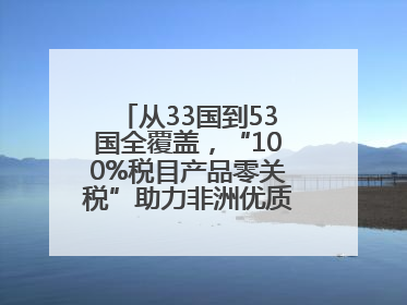 从33国到53国全覆盖，“100%税目产品零关税”助力非洲优质商品入华