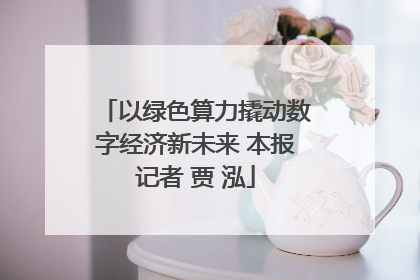 以绿色算力撬动数字经济新未来 本报记者 贾 泓
