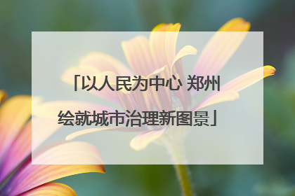 以人民为中心 郑州绘就城市治理新图景