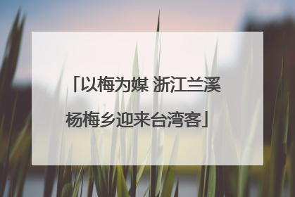 以梅为媒 浙江兰溪杨梅乡迎来台湾客