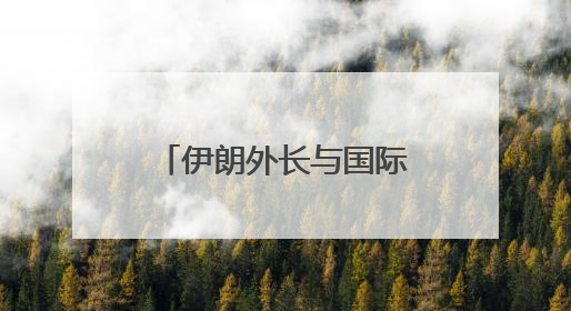 伊朗外长与国际原子能机构总干事同日到访开罗 讨论伊核问题