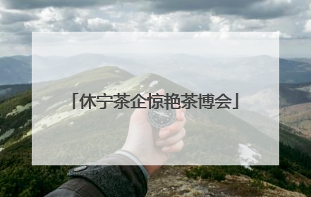 休宁茶企惊艳茶博会