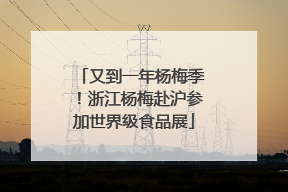又到一年杨梅季！浙江杨梅赴沪参加世界级食品展