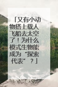 又有小动物搭上载人飞船去太空了！为什么模式生物能成为“探索代表”？