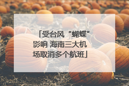 受台风“蝴蝶”影响 海南三大机场取消多个航班