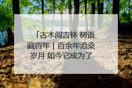 古木阅吉林 树语藏百年｜百余年沧桑岁月 如今它成为了“镇园之宝”