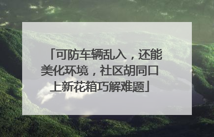 可防车辆乱入，还能美化环境，社区胡同口上新花箱巧解难题