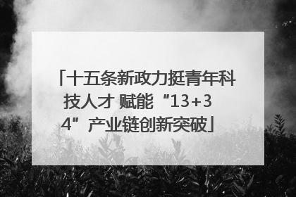 十五条新政力挺青年科技人才 赋能“13+34”产业链创新突破