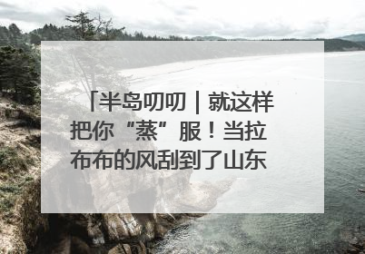半岛叨叨｜就这样把你“蒸”服！当拉布布的风刮到了山东馒头界……