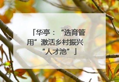 华亭：“选育管用”激活乡村振兴“人才池”