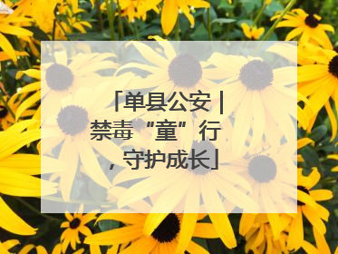 单县公安｜禁毒“童”行，守护成长