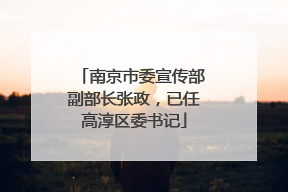 南京市委宣传部副部长张政，已任高淳区委书记